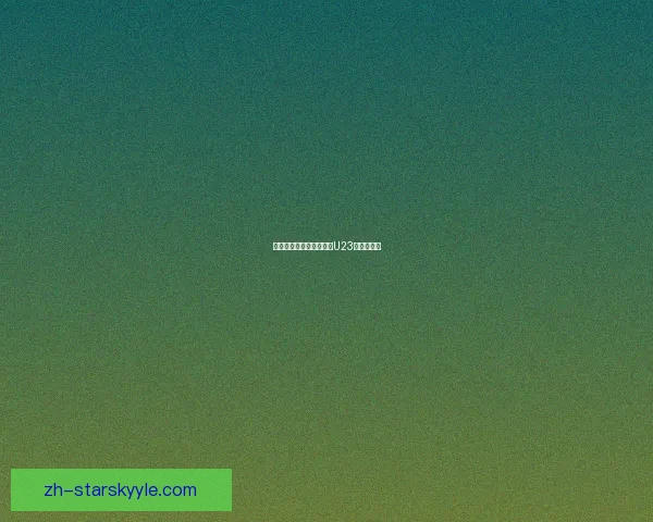 中领馆发布安全提醒迎接U23亚洲杯决赛