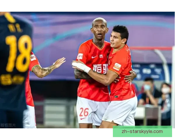 林刘出局归化计划受质疑掀波澜